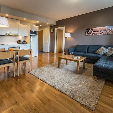 Ski-inn Apartment *